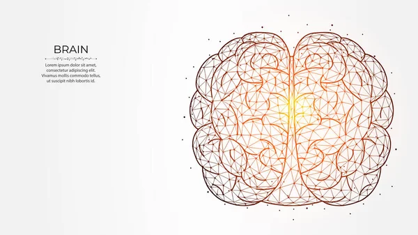 Αφηρημένη Πολυγωνική Διανυσματική Απεικόνιση Του Ανθρώπινου Εγκεφάλου Φόντο Φωτός Σκέψη — Διανυσματικό Αρχείο