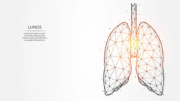 Abstraction Polygonal Vector Illustration Human Lungs Light Background Human Respiratory — Vector de stock