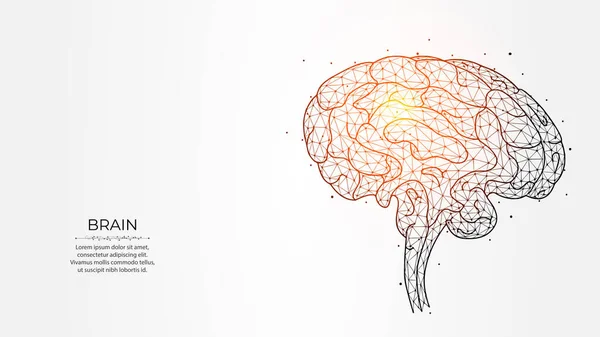Işık arka planında insan beyninin soyut çokgen vektör çizimi. Beyin fırtınası konsepti. Nöroloji yaratıcı afişi, şablon veya arkaplan.