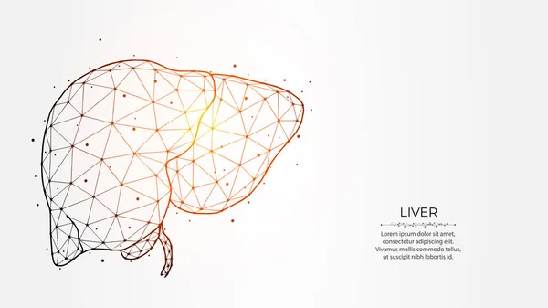 Ilustración Abstracta Del Vector Poligonal Hígado Humano Sobre Fondo Claro — Archivo Imágenes Vectoriales