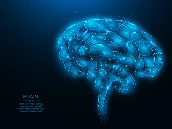 Ilustración Vectores Cerebrales Humanos Poligonales Sobre Fondo Azul Oscuro Concepto — Archivo Imágenes Vectoriales