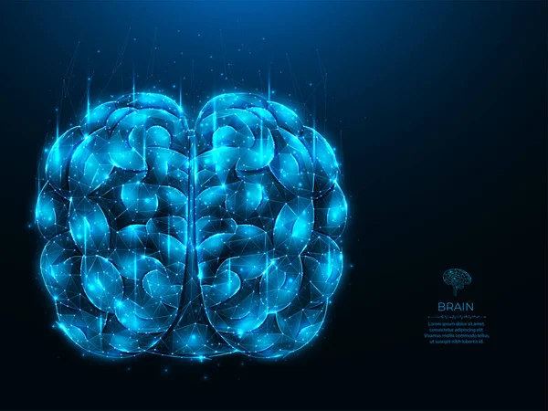 Koyu mavi arka planda insan beyninin çokgen vektör çizimi. Beyin anatomisi düşük poli sanatı. Sinir sistemi tıbbi pankartı, şablon ya da arka plan. Yapay zeka kavramı