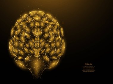 İnsan beyninin çokgen çizimi. Beyin anatomisi düşük poli sanatı. Sinir sistemi tıbbi pankartı, şablon ya da arka plan. Yapay zeka kavramı