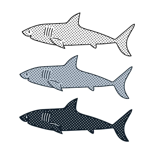 白地に隔離された3つのスタイルでサメのベクトルイラスト — ストックベクタ