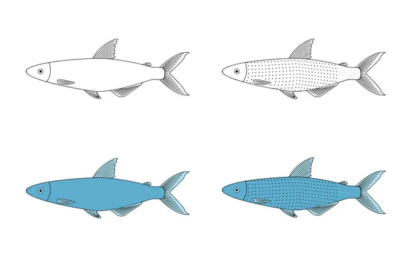 白い背景に隔離されたアレステス魚の落書きベクトルイラストレーター — ストックベクタ