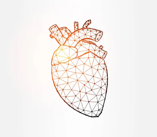 Beyaz arka planda kalp iç organı düşük poli çizimi