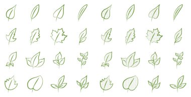 Beyaz arka planda karalama tarzında yeşil yaprakların vektör kümesi. Doğa, yaprak, yeşillik, ekoloji klipsi sanat tasarımı.