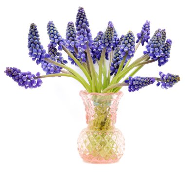 Mavi hyacinttriciclo decorado con flores de seda.