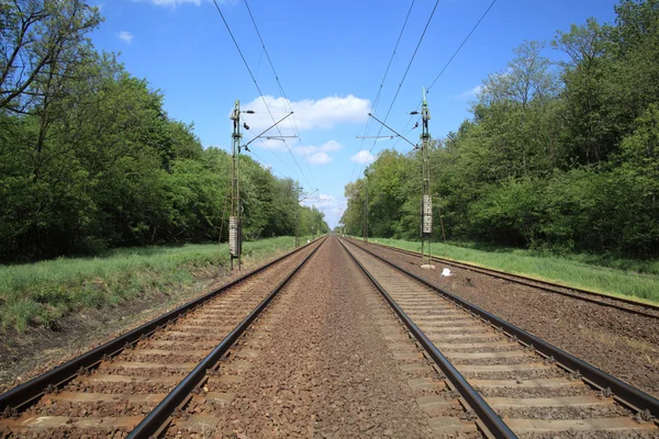 Railroad tracks. Stockafbeelding