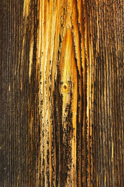 Tábua de madeira antiga abstrata texturizada — Fotografia de Stock
