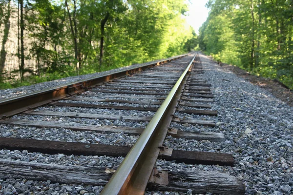 Spoorweg in de zomer — Stockfoto