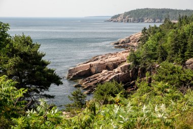 Acadian kıyı şeridi