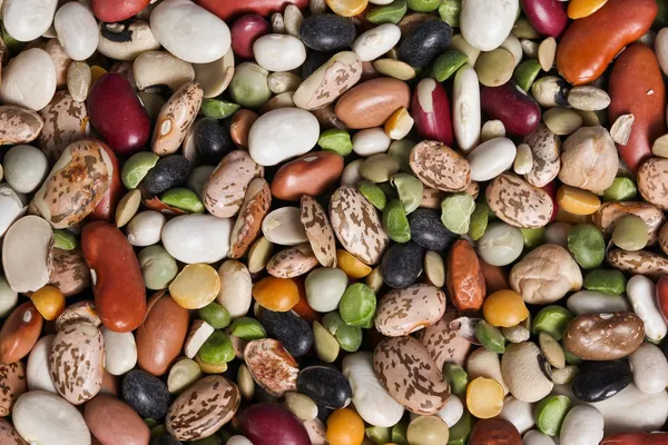 Beans — Stock Photo, Image