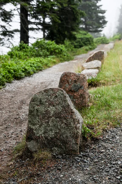 Szlak w acadia np — Zdjęcie stockowe