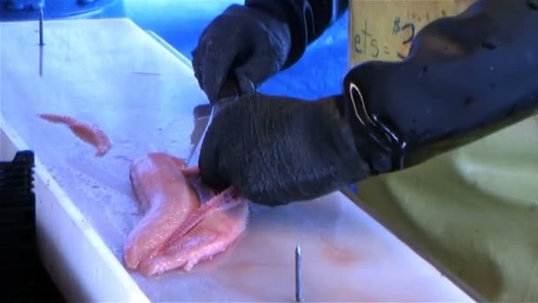 Balık Temizleme — Stok video