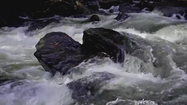Pedras Rio Perto — Vídeo de Stock