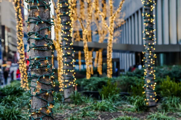 Świąteczne Światełka Tle Drzewa — Zdjęcie stockowe
