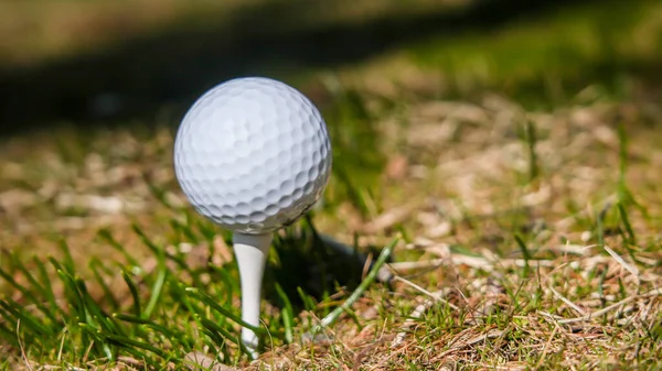 White Golf Balls Consistent Tee — Stock Photo, Image