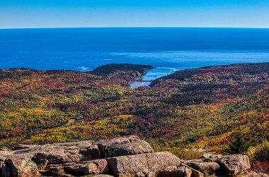 Acadia Np sonbahar renkleri