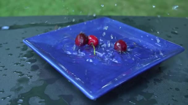 Вишня Падает Внутри Голубой Пластины Водой Снаружи Близко — стоковое видео