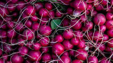 Birçok kırmızı turp arka planı kapat