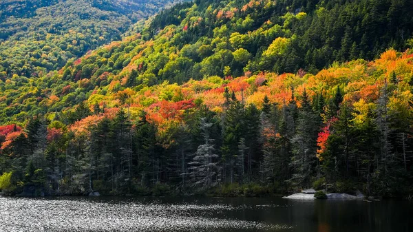 Hermosos Colores Hoja Otoño Las Montañas Blancas Octubre — Foto de Stock