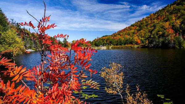 Podzimní Barvy Modrou Oblohou Poblíž Rybníka New Hampshire — Stock fotografie