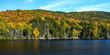 Sonbaharda göletin yanındaki Beyaz Dağ 'dan güzel bir manzara ve mavi gökyüzü.