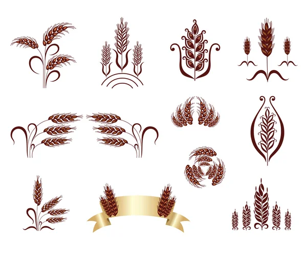 穀物の耳。デザイン要素. — ストックベクタ