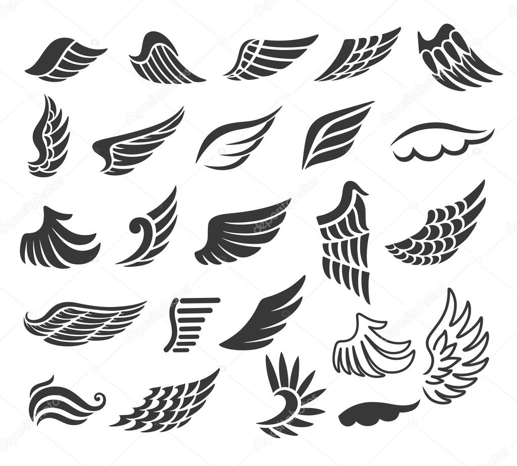 Wings. Set of vector design elements.