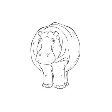 Beyaz arka planda su aygırı. Vektör .