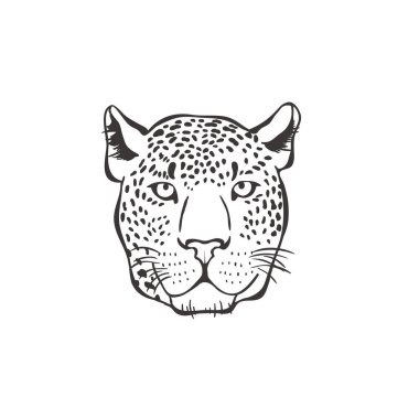 Beyaz arka planda leopar. Vektör .