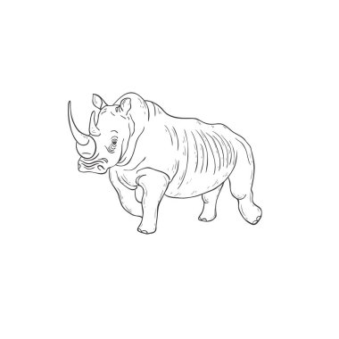 Beyaz arka planda gergedan. Vektör.