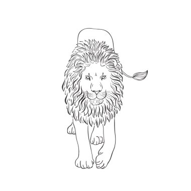 Beyaz arka planda aslan. Vektör .