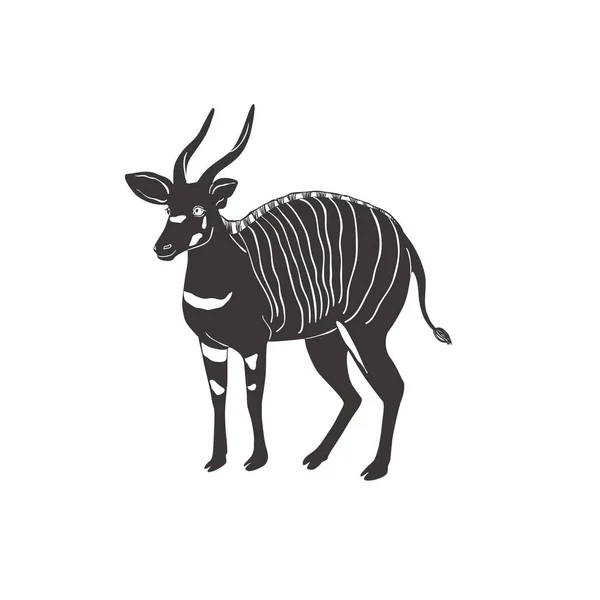 Mountain Bongo fehér háttérrel. Vektor . — Stock Vector