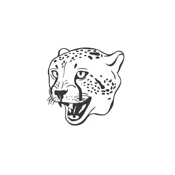 Cheetah op witte achtergrond. Vector . — Stockvector