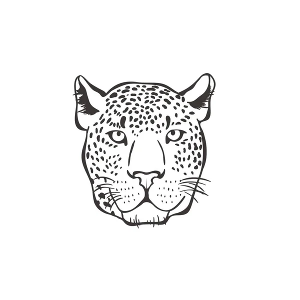 Leopardo sobre fundo branco. Vetor . —  Vetores de Stock