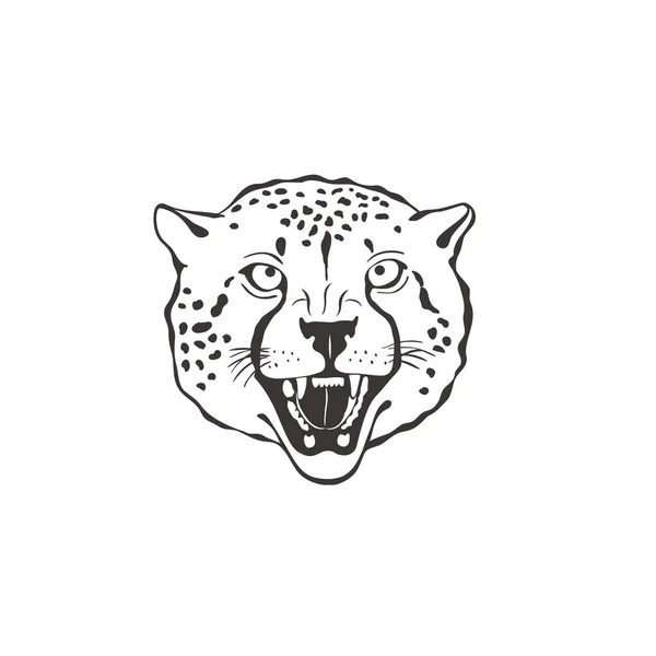 Cheetah no fundo branco. Vetor . —  Vetores de Stock