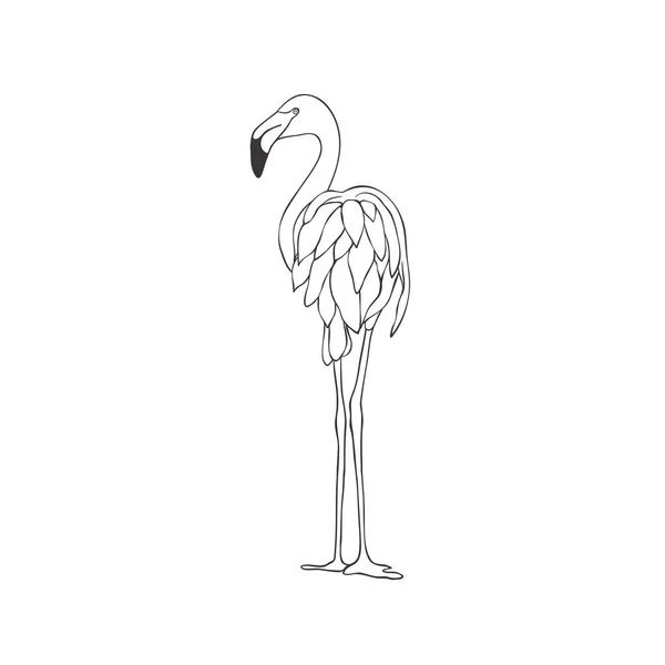 Flamingo sobre fondo blanco. Vector. — Archivo Imágenes Vectoriales