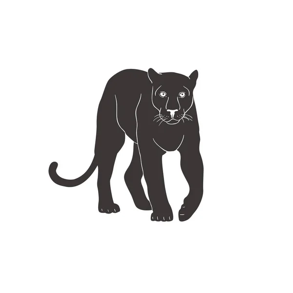 Panther on white background. Vector. — Stock Vector