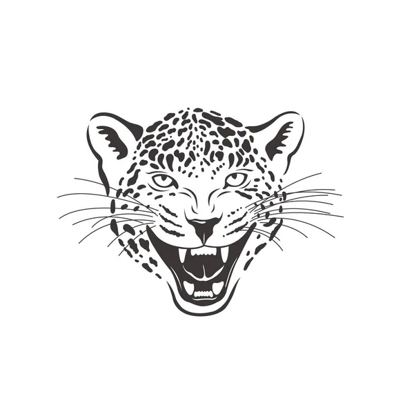 Leopardo sobre fundo branco. Vetor . — Vetor de Stock