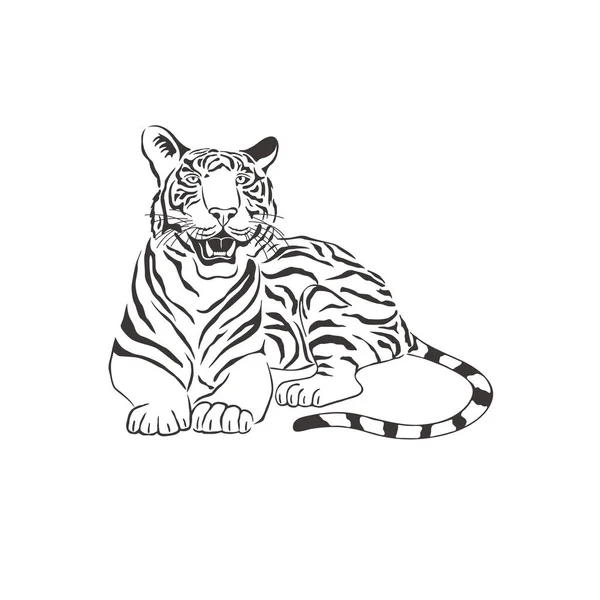 Tigris fehér háttérrel. Vektor . — Stock Vector