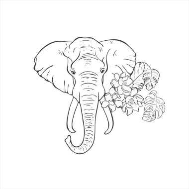 Beyaz arka planda tropik çiçekli Çizgi Sanat Fili. Vahşi Hayvan Vektörü. Safari.