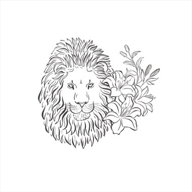 Beyaz arka planda zambak çiçekleri olan aslan. Vahşi Hayvan Vektörü. Safari.