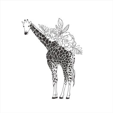 Beyaz arka planda egzotik çiçekleri olan zürafa. Vahşi Hayvan Vektörü. Safari.