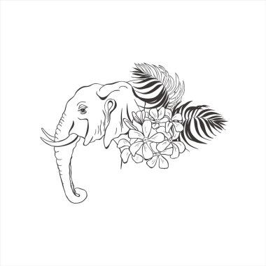 Beyaz arka planda tropik çiçekli Çizgi Sanat Fili. Vahşi Hayvan Vektörü. Safari.