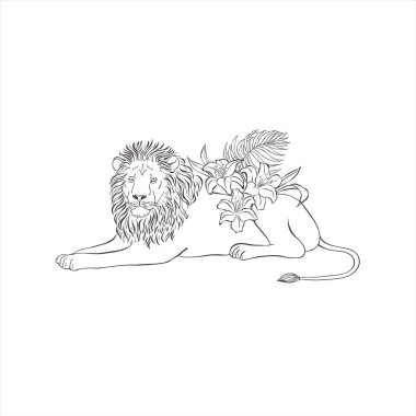 Beyaz arka planda zambak çiçekleri olan aslan. Vahşi Hayvan Vektörü. Safari.