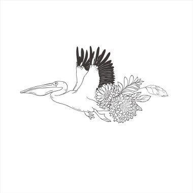 Beyaz arka planda paskalya çiçekleri olan pelikan. Vektör Vahşi Kuş. Safari.