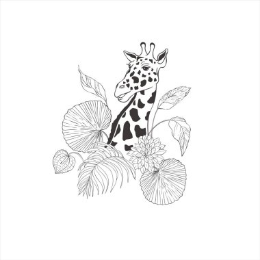 Beyaz arka planda egzotik çiçekleri olan zürafa. Vahşi Hayvan Vektörü. Safari.