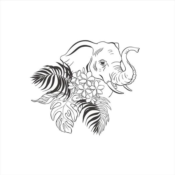 Line Art Elephant Mit Tropischen Blumen Auf Weißem Hintergrund Vektor — Stockvektor
